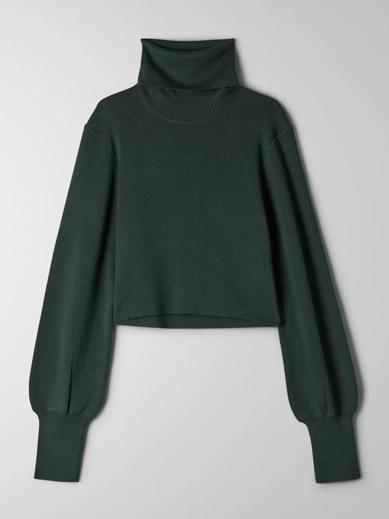 Aritzia Sweaters - Aritzia Wilfred Rebecca Wool Cotton Cropped Knit Turtleneck Sweater in Scarab